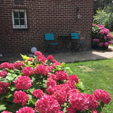 Pensionat D'hotes Les Hortensias Rang-du-Fliers