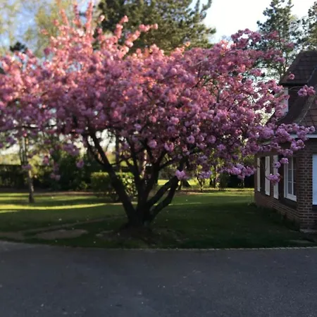 D'hotes Les Hortensias 3*