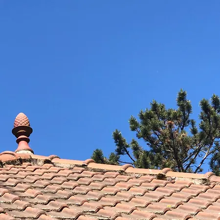 D'hotes Les Hortensias Pensionat