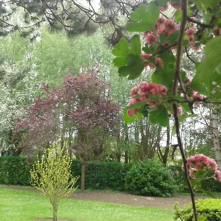 D'hotes Les Hortensias Pensionat