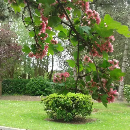 D'hotes Les Hortensias