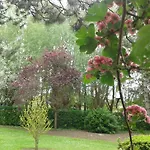 D'hotes Les Hortensias Affittacamere