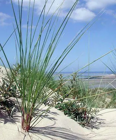 Penzion D'hotes Les Hortensias 3*